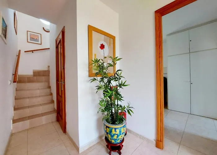 Limon קאלה בלנקה